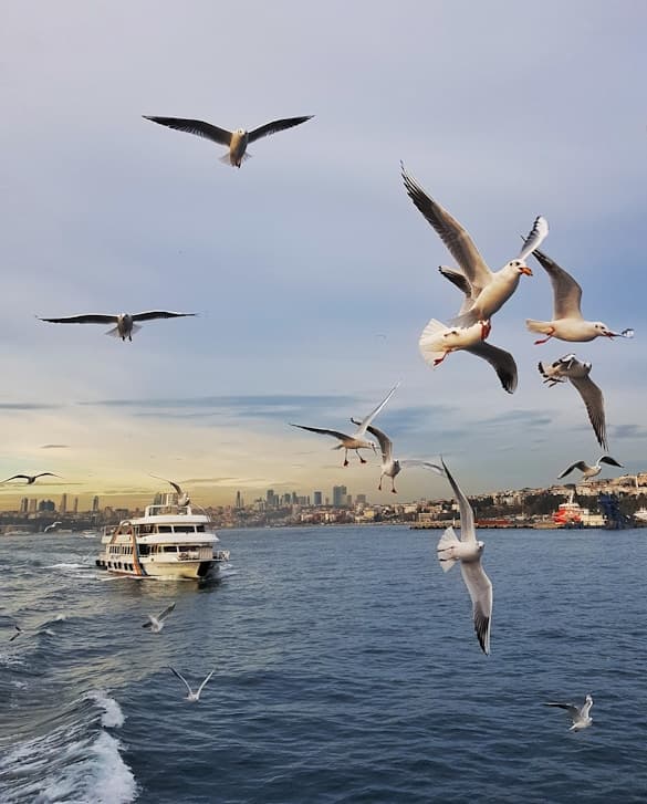 Boğaz Tekne Turu